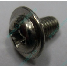 Компьютерный винт "малый" PW-M3x6mm (Нижний Тагил)