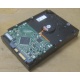 Жесткий диск HP 250Gb 7200 rpm 432337-001/ 399699-001 / 397377-004 (Нижний Тагил)
