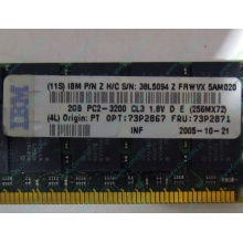IBM 73P2871 73P2867 2Gb (2048Mb) DDR2 ECC Reg memory (Нижний Тагил)