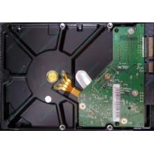 Б/У жёсткий диск 1Tb Western Digital WD10EVVS Green (WD AV-GP 1000 GB) 5400 rpm SATA (Нижний Тагил)
