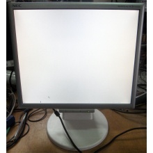 Монитор 17" TFT Nec MultiSync LCD175VXM+ бело-серебристый (Нижний Тагил)