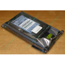 Жёсткий диск 146.8Gb HP 365695-008 404708-001 BD14689BB9 256716-B22 MAW3147NC 10000 rpm Ultra320 Wide SCSI купить в Нижнем Тагиле, цена (Нижний Тагил).