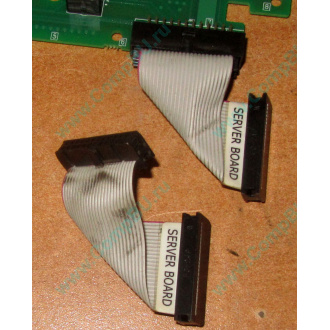 6017B0045701 Шлейф 24 pin для Intel C74974-401 T0043401-B01 корпуса SR2400 (Нижний Тагил)