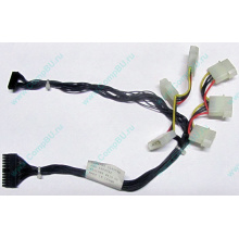 59P4789 FRU 59P4792 в Нижнем Тагиле, кабель IBM 59P4789 FRU 59P4792 для серверов X225 (Нижний Тагил)