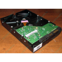 Жесткий диск 500Gb WD WD5000AAKX HP 634605-003 613208-001 7.2k SATA (Нижний Тагил)