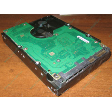 Жесткий диск 300Gb 15k Dell 9CH066-050 6G SAS (Seagate Cheetach ST3300656SS 15K.6) - Нижний Тагил